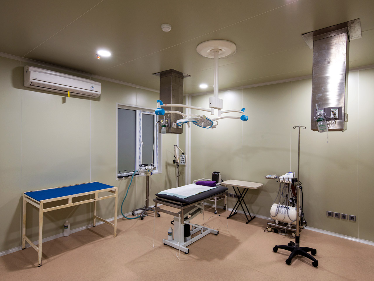 Pet + Vet - Slide 10